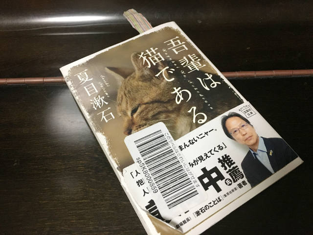 吾輩は猫である 小学生向けもたくさんありました けだま子観察帳